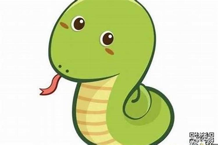 属蛇的开运手串是什么