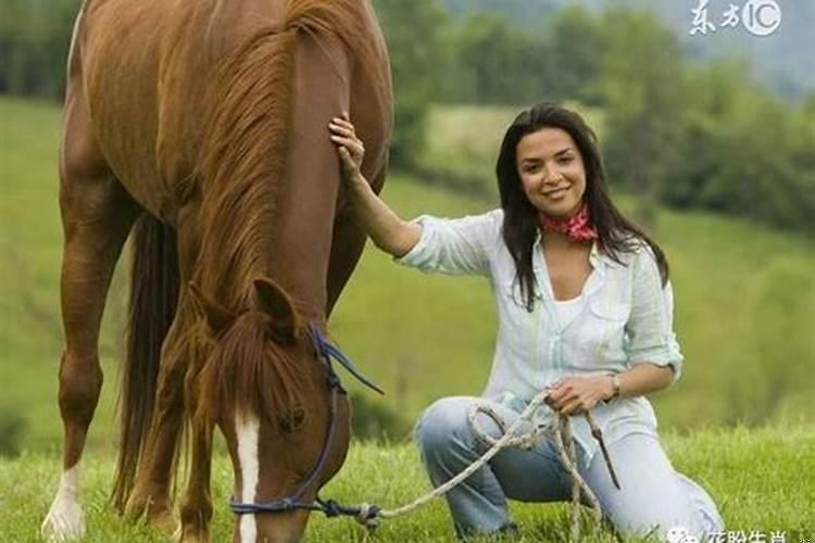 马和马的婚姻如何