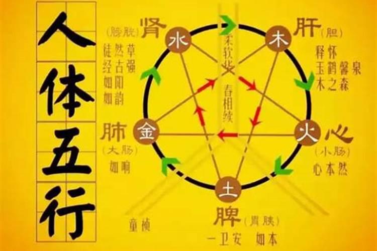 金木水火土五行人的特征