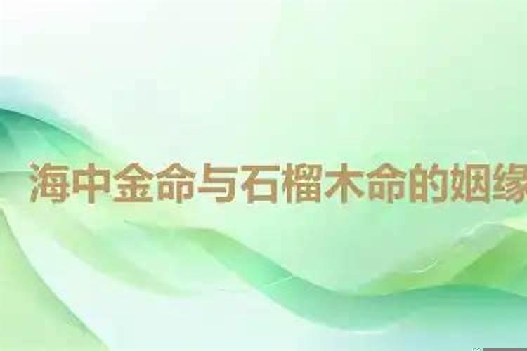 海中金命和石榴木命合不合