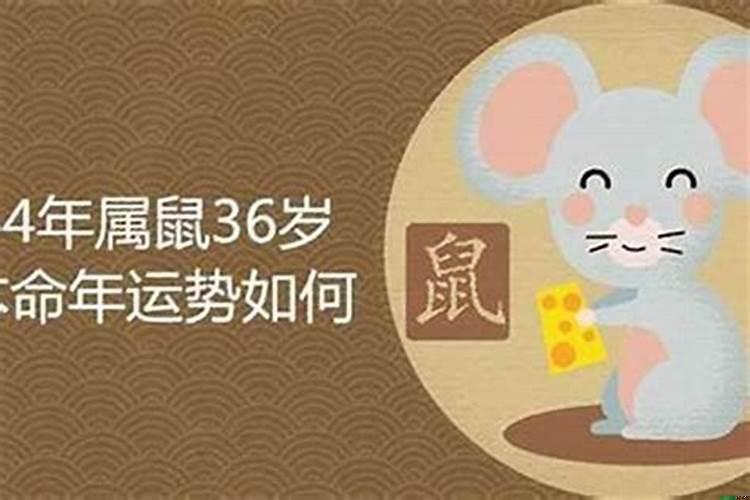 84年属鼠人终身灾难