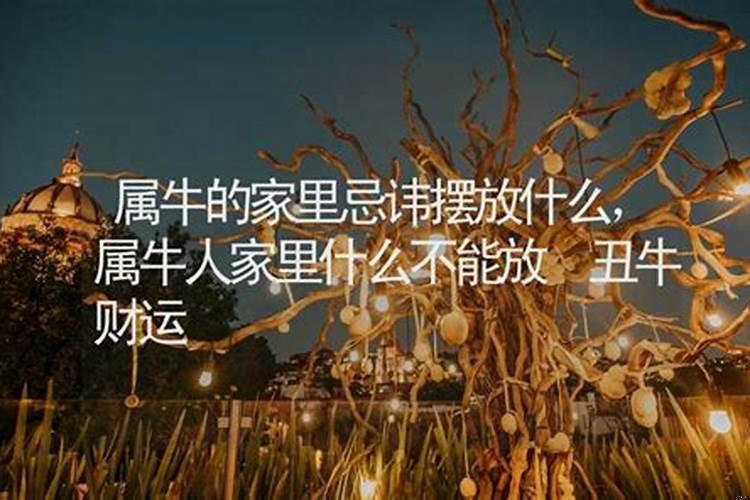 属牛的家里忌讳摆放什么