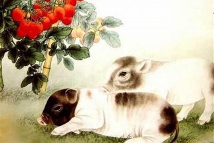 1981年属鸡的女人婚姻