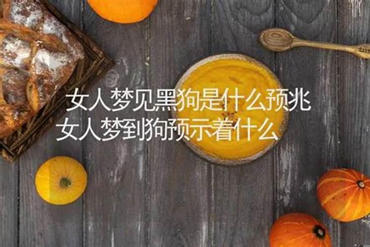 女人梦见黑狗的预兆解梦