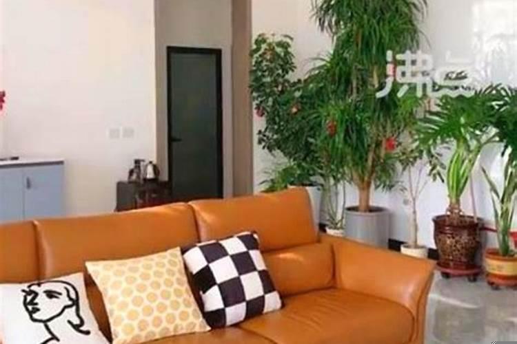 请问梦见父母盖房子有什么征兆没