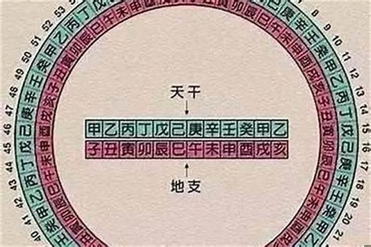 八字年月日时柱十神详解