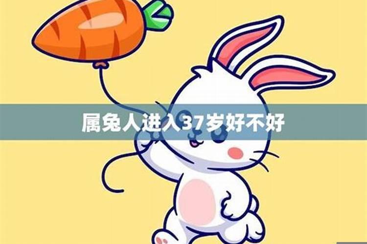 属兔人进入36岁好不好