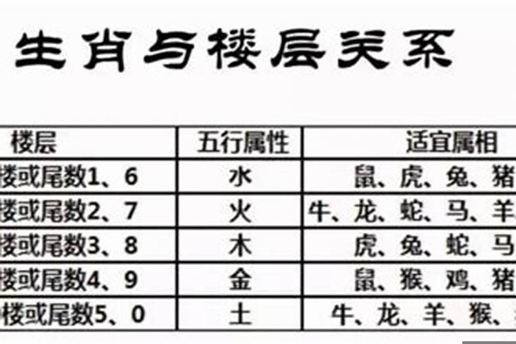 风水学楼层和属相的关系