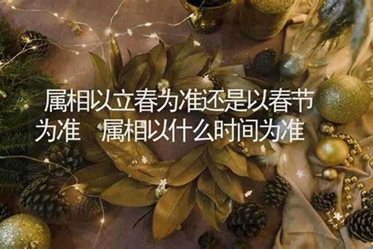 属相是以立春为准吗