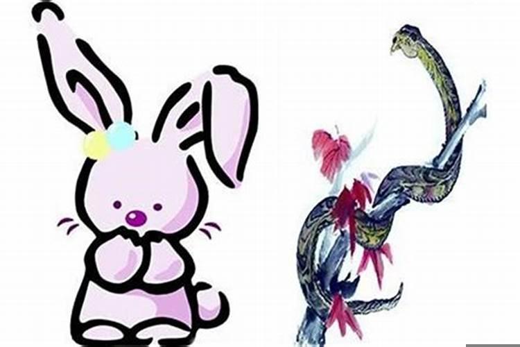 十二生肖中情商高的生肖