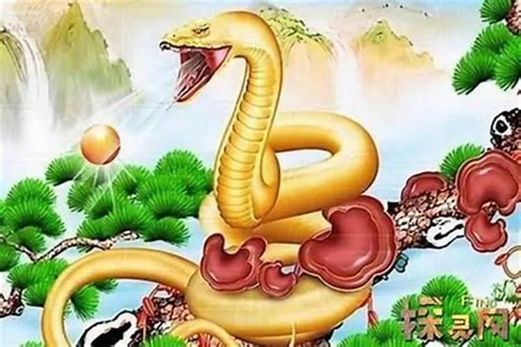 生肖蛇属于什么星座