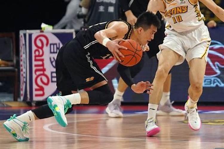 猴肖有望再开特生肖