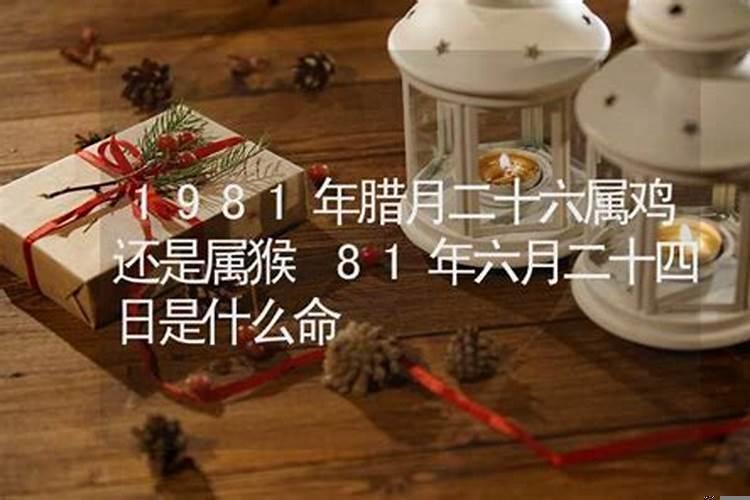 1981年属鸡的女人婚姻