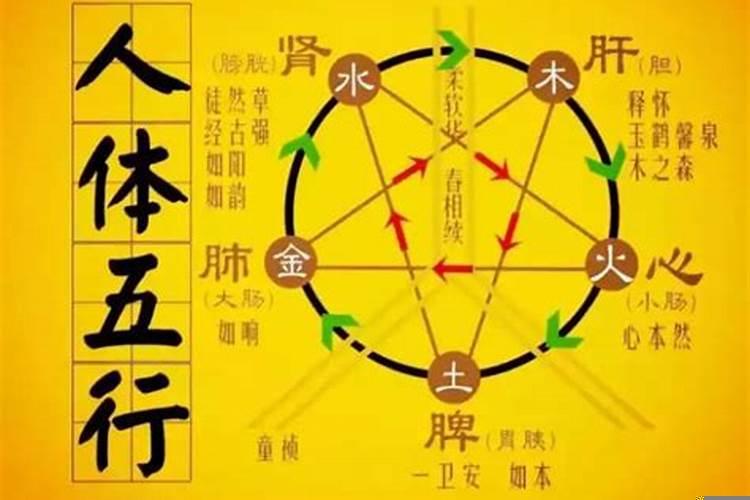 金木水火土五行人的特征
