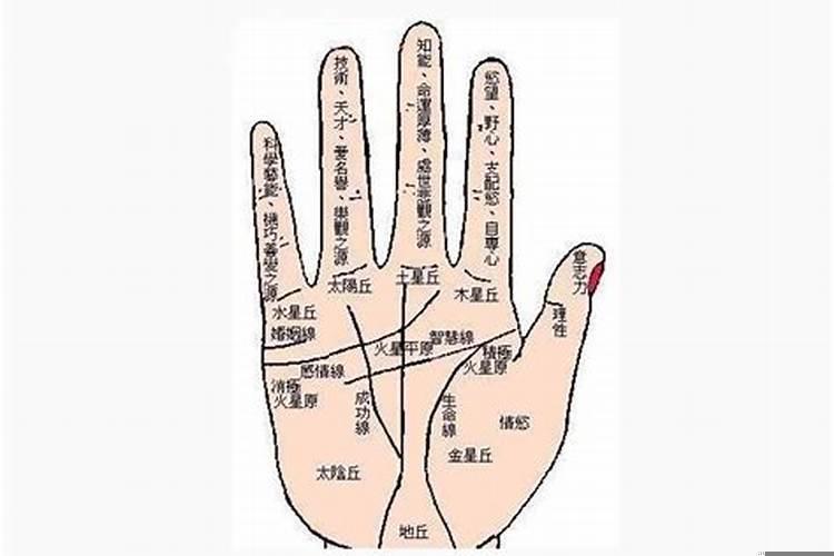 手相看婚姻预示二婚