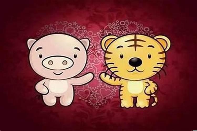 男猪女虎婚姻配吗