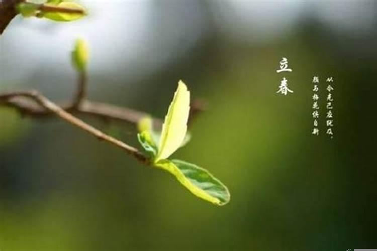 丙寅月己亥日好吗