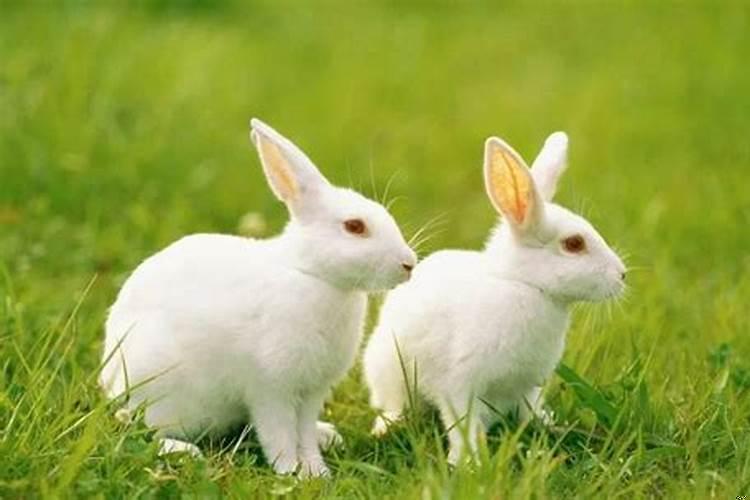 1987年出生的人今年多少周岁了