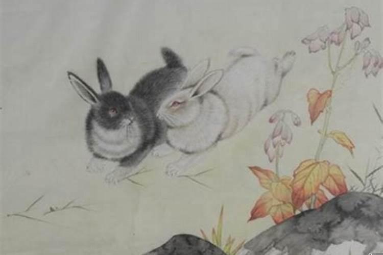 老鼠兔子不成婚什么意思