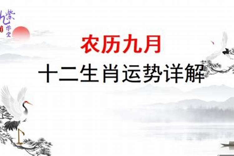 农历九月十二生肖运势