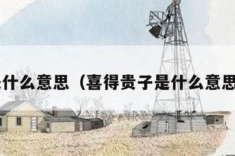 命有贵子的意思