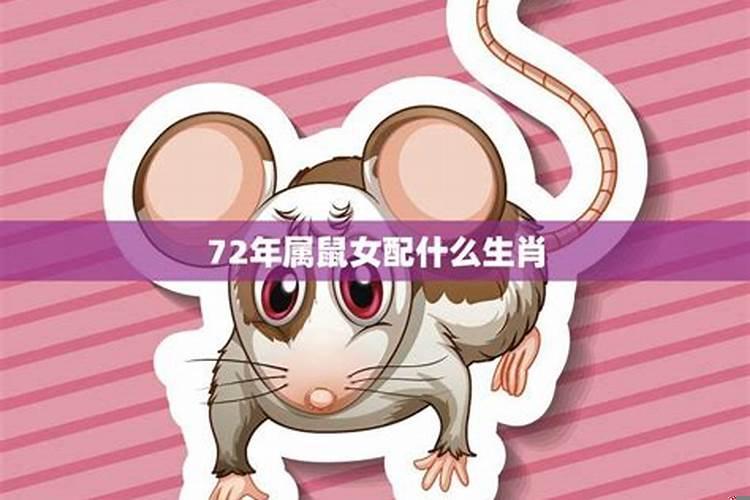 72年女鼠婚姻相配