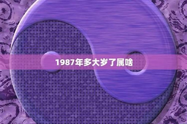1987年出生的人今年多少周岁了
