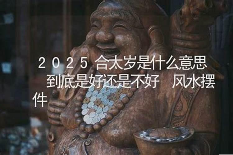 合太岁是什么意思2022