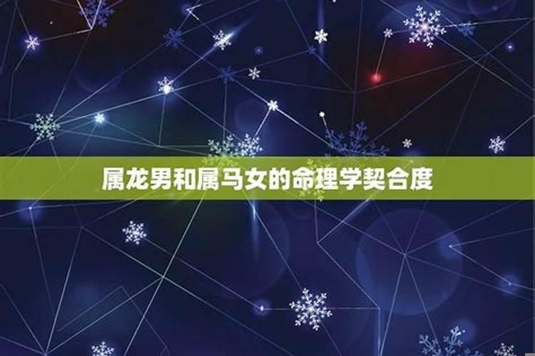 88年属龙男和90年属马女