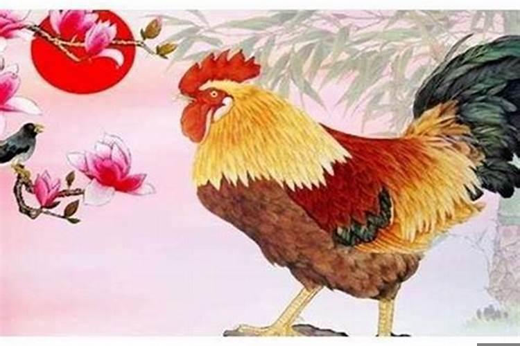 2017年属鸡一生命运如何