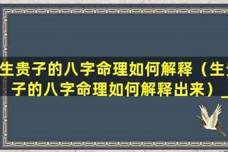 命有贵子的意思