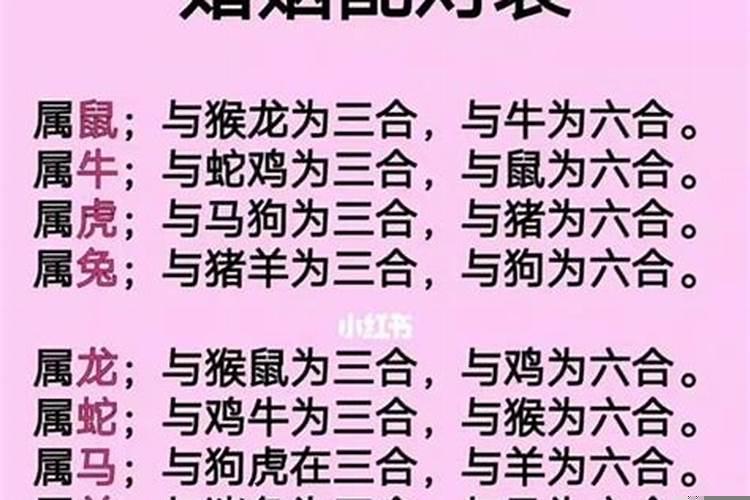 12生肖最佳夫妻配对