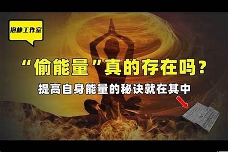 属相运势是真的吗