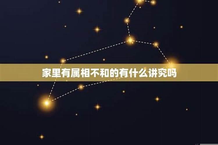 婚配属相不合的属相