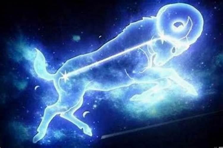 射手座不联系了代表什么