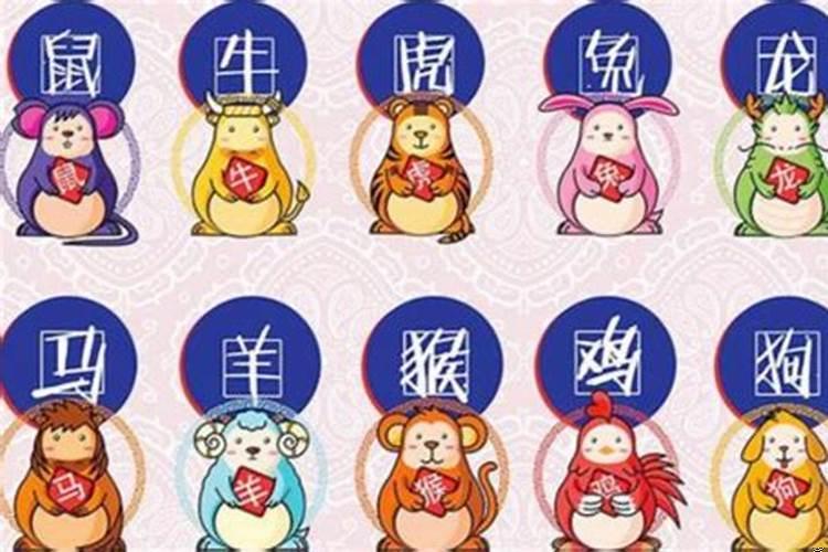 喜气洋洋指什么生肖?