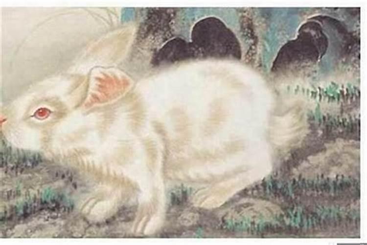 87年属兔选择哪几层楼好