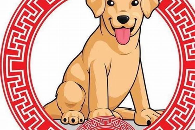 年华渐老什么生肖