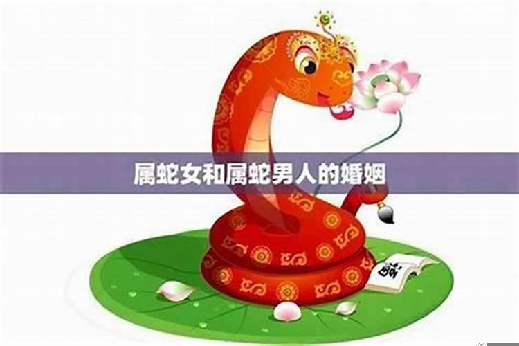 属蛇男和属马女的婚姻相配吗
