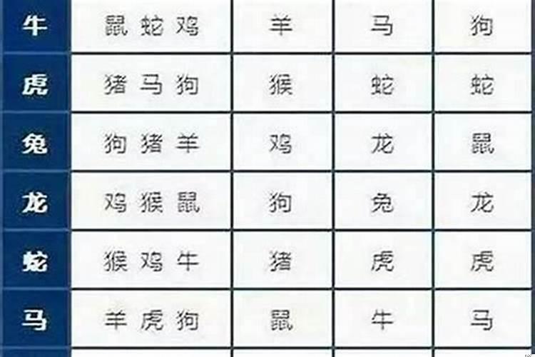 十二属相与婚配