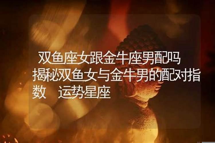 金牛和双鱼座合不合适