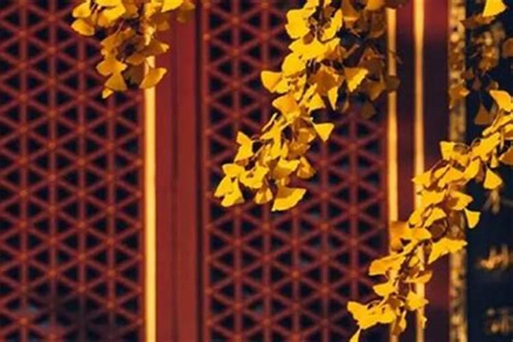 属猴的什么年份犯太岁