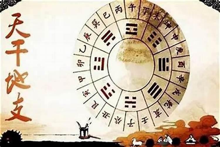 大运是天干还是地支呢