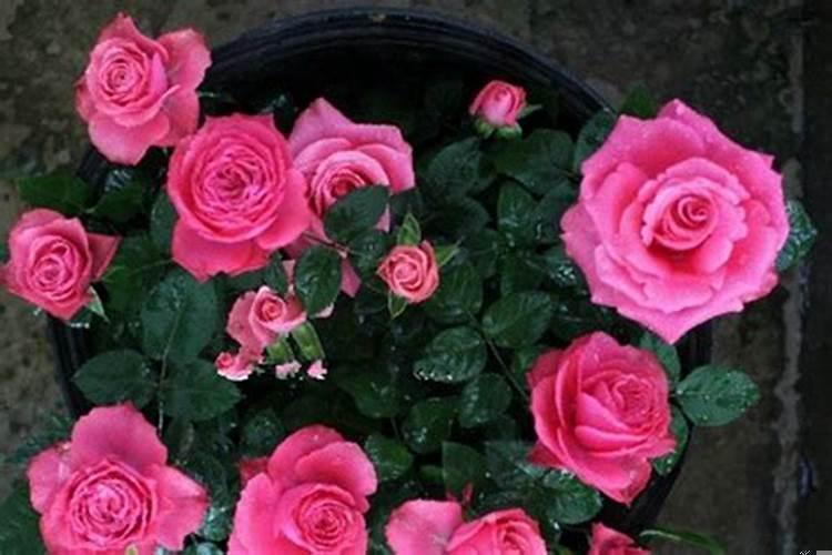 摩羯座的优缺点性格特征