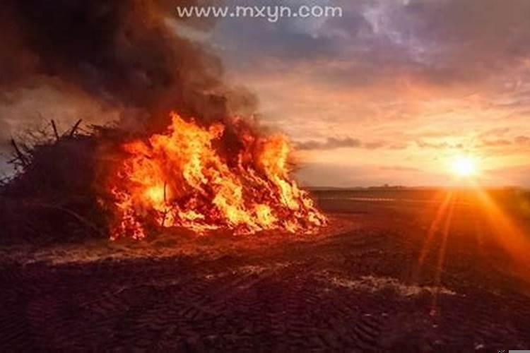 梦见火烧山林是什么意思