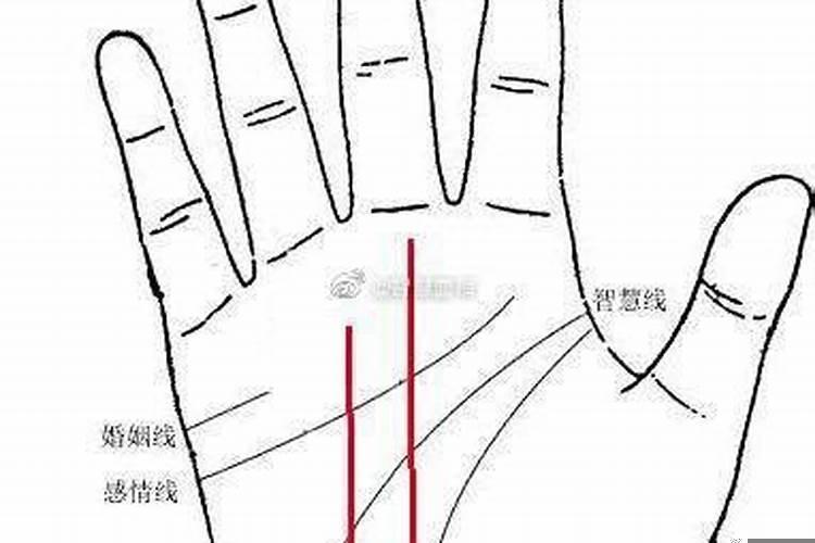 手相里没有事业线意味着什么