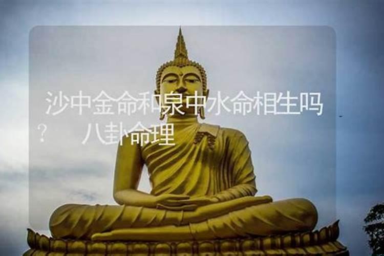 沙中金和沙中金命合不合