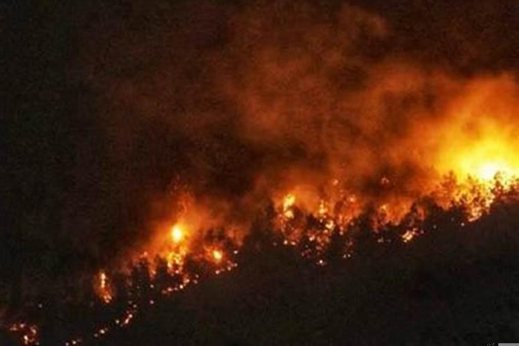 孕妇梦见火灾是什么兆头