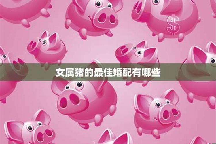 女生属猪的最佳婚配