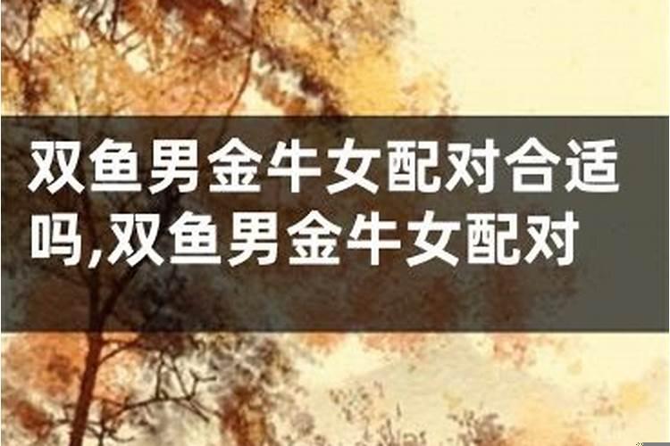 金牛和双鱼座合不合适